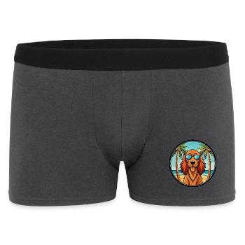 Irish Setter Hund Rasse Cartoon Sonnenbrille Strand - Männer Boxer Shorts - Anthrazit - Vorne