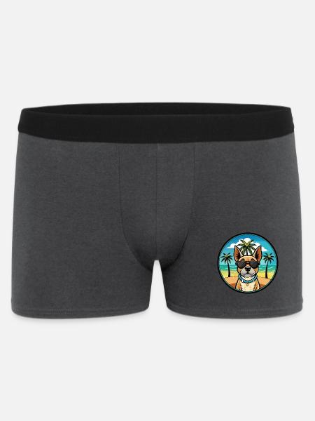 Braque Du Bourbonnais Hunderasse Cartoon Sonnenbrille - Männer Boxer Shorts - Anthrazit