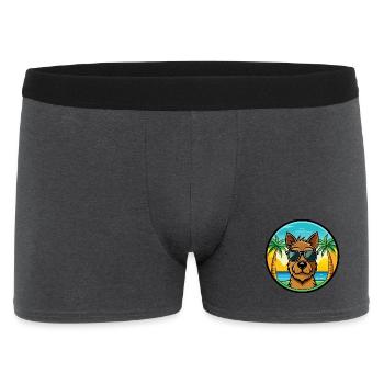 Welsh Terrier Hunderasse Cartoon Sonnenbrille Strand - Männer Boxer Shorts - Anthrazit - Vorne