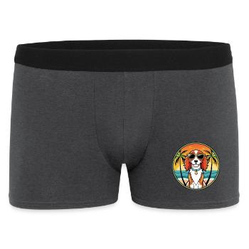 Welsh Springer Spaniel Hunderasse Cartoon Beach - Männer Boxer Shorts - Anthrazit - Vorne
