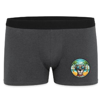 Alte dänische Pointer Hunderasse Cartoon Sonnenbrille - Männer Boxer Shorts - Anthrazit - Vorne
