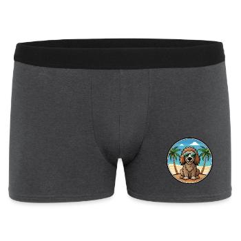 Irish Water Spaniel Hunderasse Cartoon Sonnenbrille - Männer Boxer Shorts - Anthrazit - Vorne