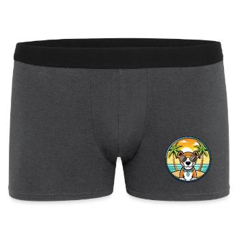Ariege Pointer Hund Rasse Cartoon Sonnenbrille Strand - Männer Boxer Shorts - Anthrazit - Vorne