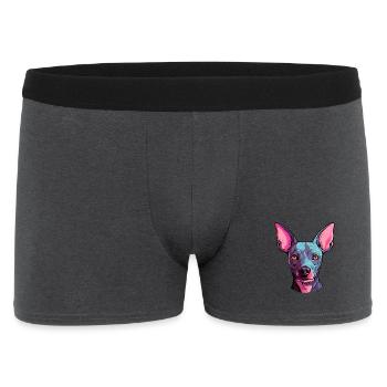 American Hairless Terrier Hunderasse Aquarell Auto - Männer Boxer Shorts - Anthrazit - Vorne