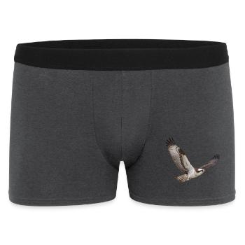 Fischadler im Flug – Greifvogel mit weißem Kopf - Männer Boxer Shorts - Anthrazit - Vorne