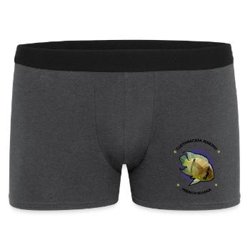 maronibuntbarsch im polygonstil Emblem - Männer Boxer Shorts - Anthrazit - Vorne