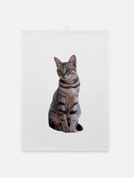 Katze Katzen Süßes Kätzchen Weihnachtsgeschenk - Organic Geschirrtuch - Weiß