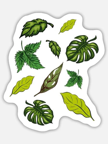 Zimmerpflanzen Pflanzen Blätter - Sticker Größe L (20 x 20 cm) - Mattweiß