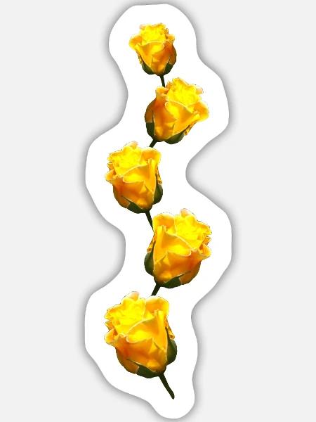 gelbe Rosen - Sticker Größe L (20 x 20 cm) - Mattweiß