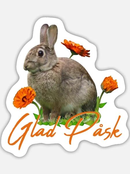 glad pask Frohe Ostern - Sticker Größe L (20 x 20 cm) - Mattweiß