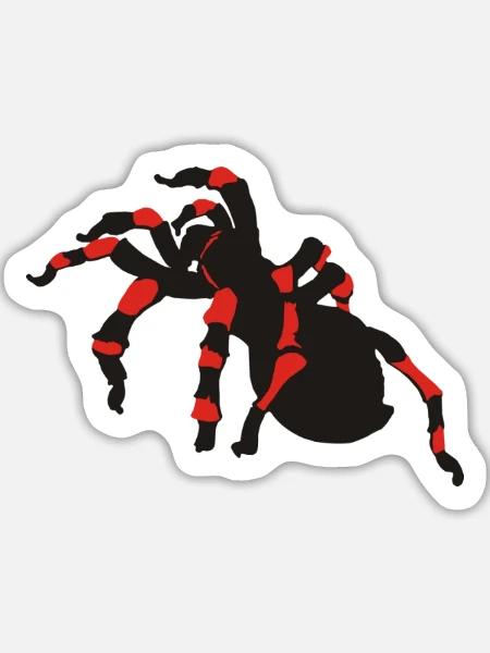 spinnen - Sticker Größe L (20 x 20 cm) - Mattweiß