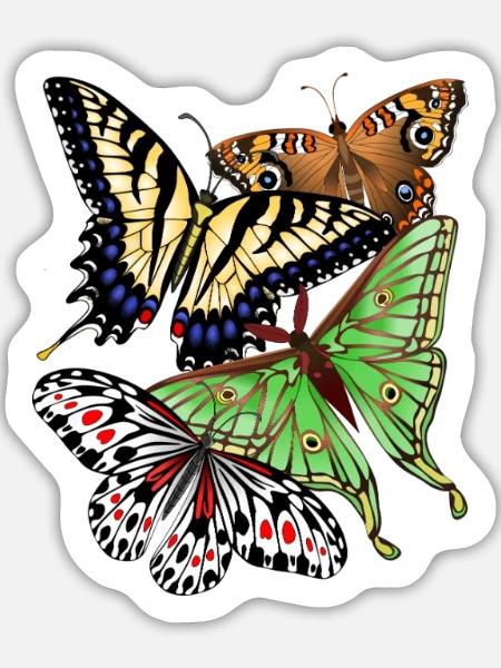 Schmetterlinge bunt - Sticker Größe L (20 x 20 cm) - Mattweiß