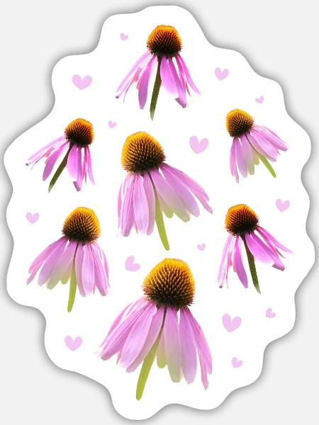 Sonnenhut Coneflower - Sticker Größe L (20 x 20 cm) - Mattweiß
