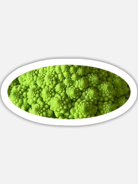 Romanesco-Brokkoli - Sticker Größe L (20 x 20 cm) - Mattweiß