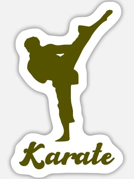 Karate Silhouette Shirt - Sticker Größe L (20 x 20 cm) - Mattweiß