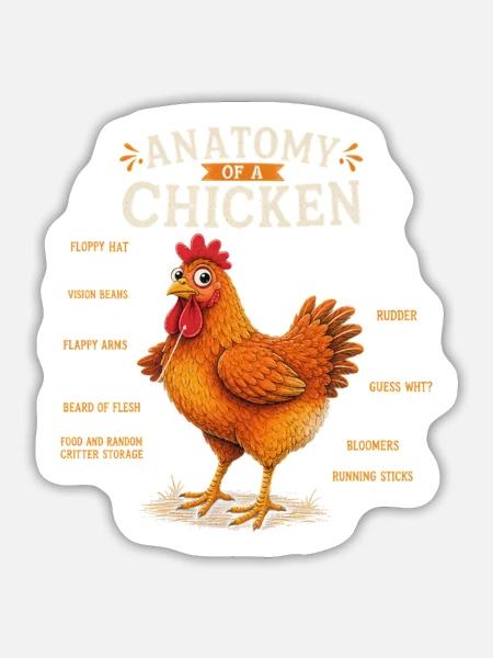 Anatomie eines Huhns – lustiges Huhn - Sticker Größe L (20 x 20 cm) - Mattweiß