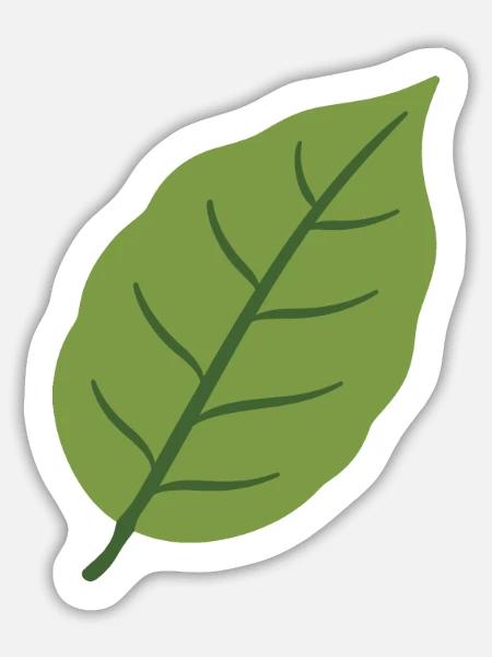 Buchenblatt Pflanze Geschenkidee Illustration - Sticker Größe L (20 x 20 cm) - Mattweiß