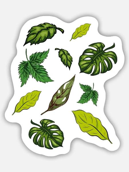 Zimmerpflanzen Pflanzen Blätter - Sticker Größe M (15 x 15 cm) - Mattweiß