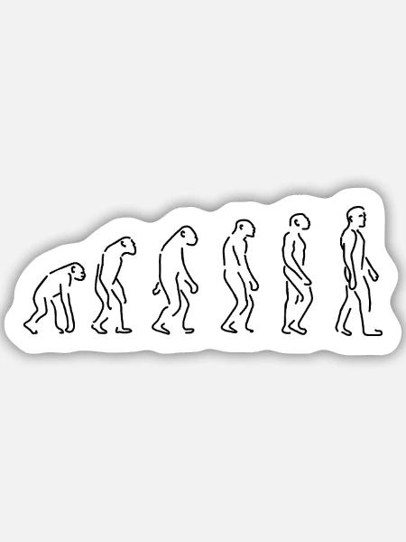 Die Evolution Silhouette Geschenk Shirt - Sticker Größe M (15 x 15 cm) - Mattweiß