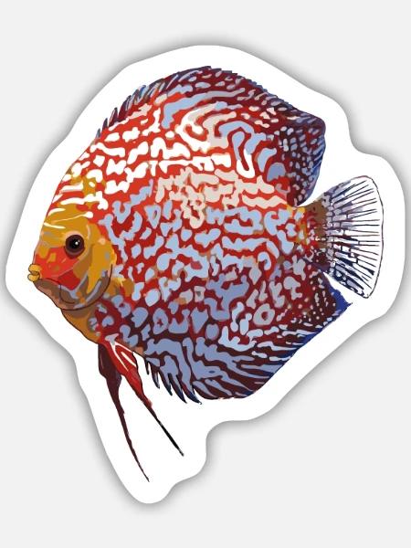 Discus - Sticker Größe M (15 x 15 cm) - Mattweiß