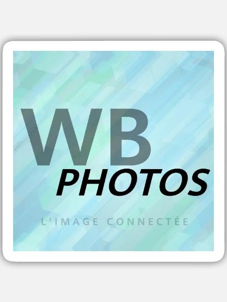 HELLBLAUES WBP-LOGO - Sticker Größe M (15 x 15 cm) - Mattweiß