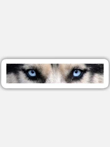 Husky Augen - Sticker Größe M (15 x 15 cm) - Mattweiß