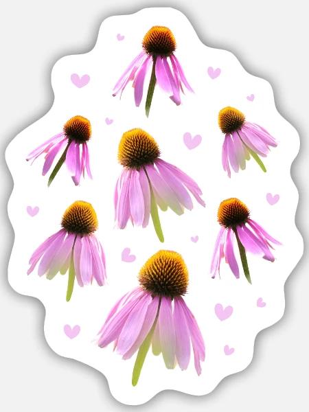 Sonnenhut Coneflower - Sticker Größe M (15 x 15 cm) - Mattweiß