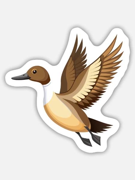 Schwanzente fliegt - Sticker Größe M (15 x 15 cm) - Mattweiß