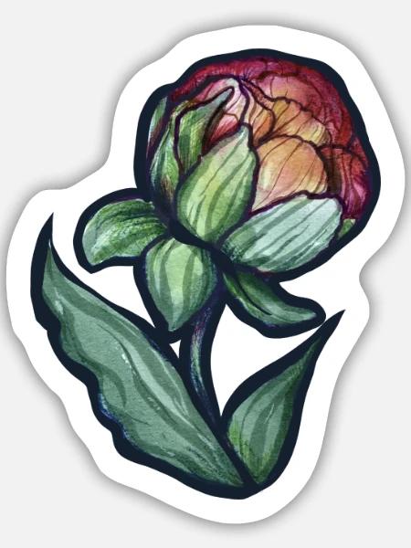 Aquarell Pfingstrosenblüte - Sticker Größe M (15 x 15 cm) - Mattweiß