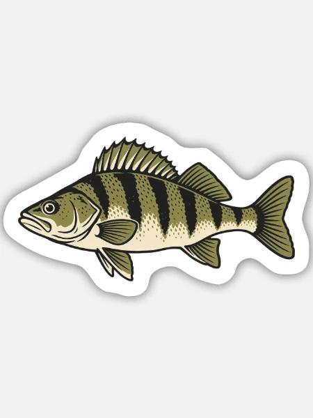 Zander Streifen Naturzeichnung - Sticker Größe M (15 x 15 cm) - Mattweiß