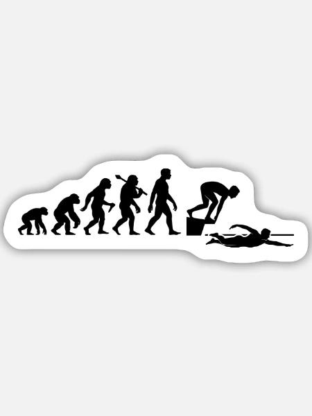 Schwimmer Evolution Schwimmen Für Schwimmlehrer - Sticker Größe M (15 x 15 cm) - Mattweiß