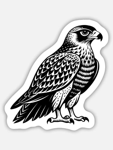 Rotschwanzbussard - Sticker Größe M (15 x 15 cm) - Mattweiß