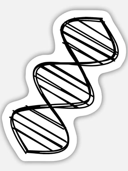 DNA Doppelhelix handgezeichnet - Sticker Größe M (15 x 15 cm) - Mattweiß
