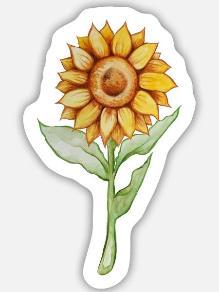 Sonnenblumen-Aquarellblüte - Sticker Größe M (15 x 15 cm) - Mattweiß