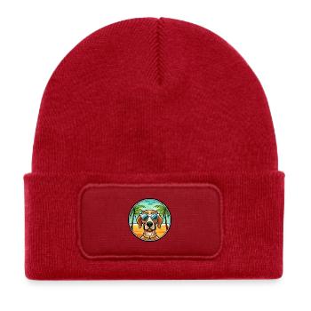 Portuguese Pointer Dog Breed Cartoon Sunglasses - Kids' Recycled Patch Beanie - classic red - Front