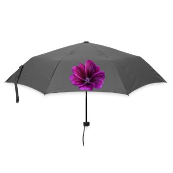 Malve violette Blüte - Regenschirm (klein) - Grau - Vorne