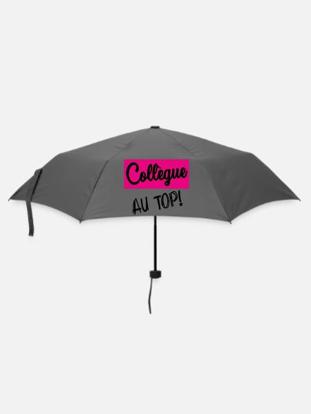 COLLEGUE - Parapluie standard - bruyère