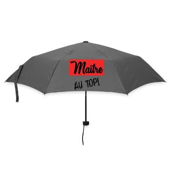 MASTER. MASTER. THANK YOU. THANK YOU MASTER - Umbrella (small) - grey - Front