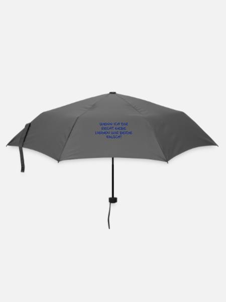 Besserwisser lustiger Spruch - Regenschirm (klein) - Grau