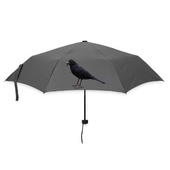 Amsel Vogel schwarzer Vogel - Regenschirm (klein) - Grau - Vorne