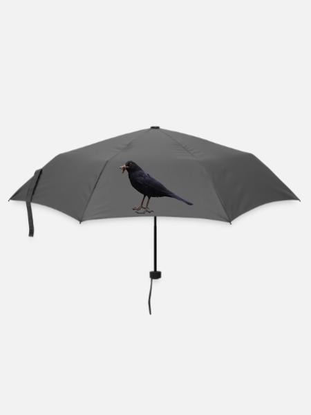 Amsel Vogel schwarzer Vogel - Regenschirm (klein) - Grau