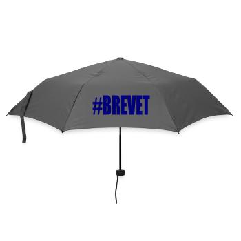 FERRY. BACCALAUREAT. PATENT. DNB. EXAMINATION. WELL DONE - Umbrella (small) - grey - Front