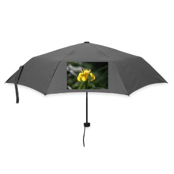 Schwertlilie Lilie gelbe Blume - Regenschirm (klein) - Grau - Vorne