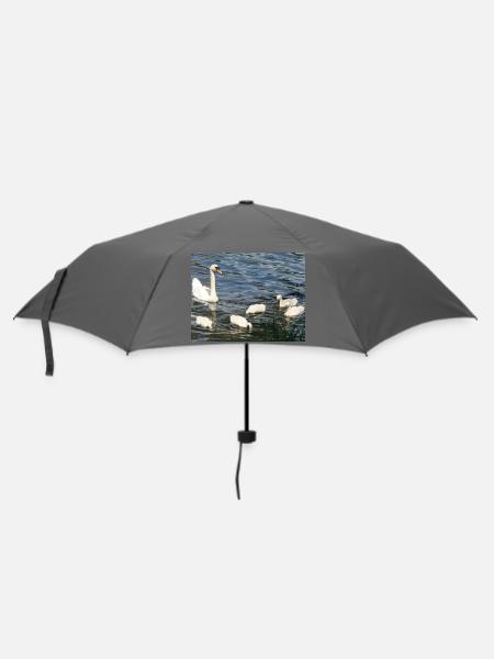 Weiße Schwäne-Familie schwimmt auf See - Regenschirm (klein) - Grau