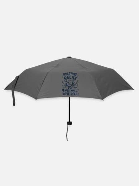 Professionally Developed - Regenschirm (klein) - Grau