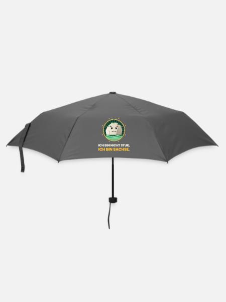 SACHSEN NICHT STUR BIN SACHSE - Regenschirm (klein) - Grau