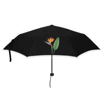 Strelitzie – exotische Blütenpracht - Regenschirm (klein) - Schwarz - Vorne