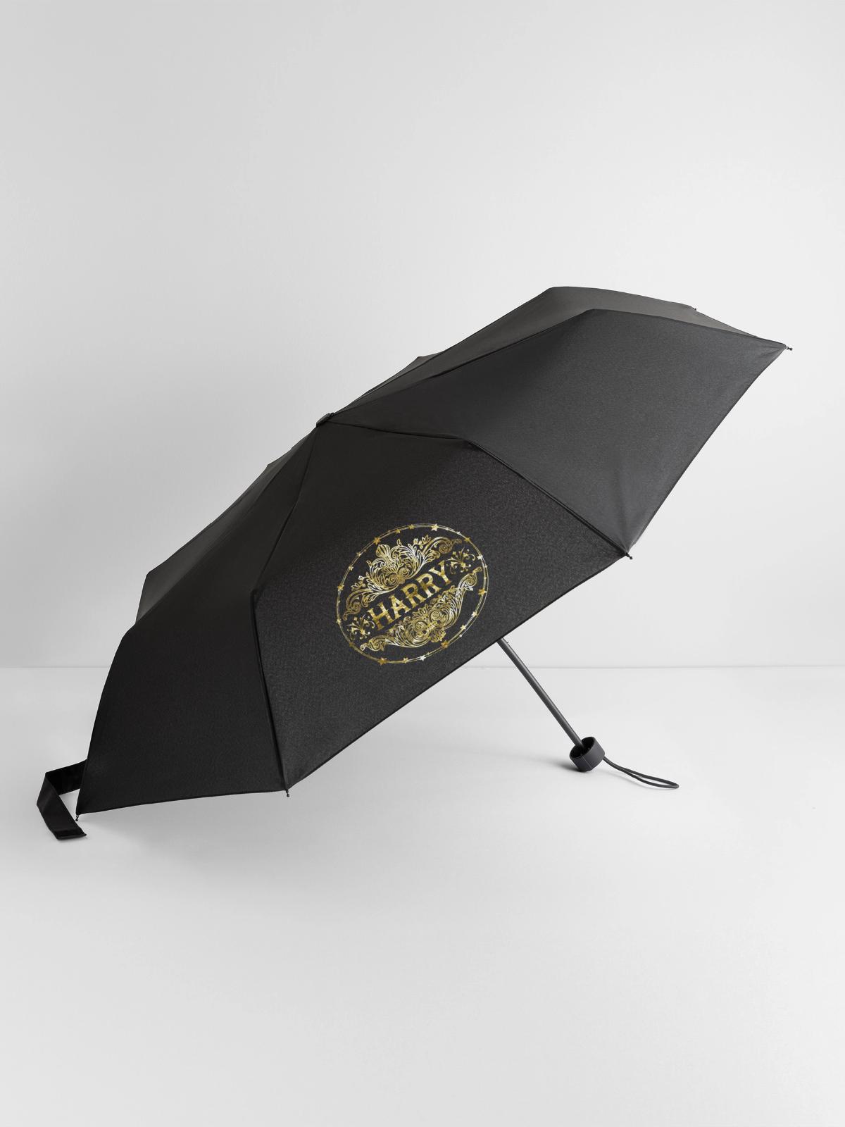 Harry - Regenschirm (klein) - Schwarz - Vorne