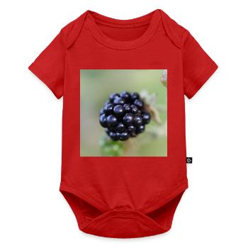 Brombeere Brombeeren Beeren Früchte - Baby Premium Kurzarmbody - Rot - Vorne