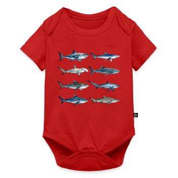 Haie der Welt - Baby Premium Kurzarmbody - Rot - Vorne